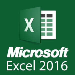 Microsoft Excel 2016 Beginner Level Course